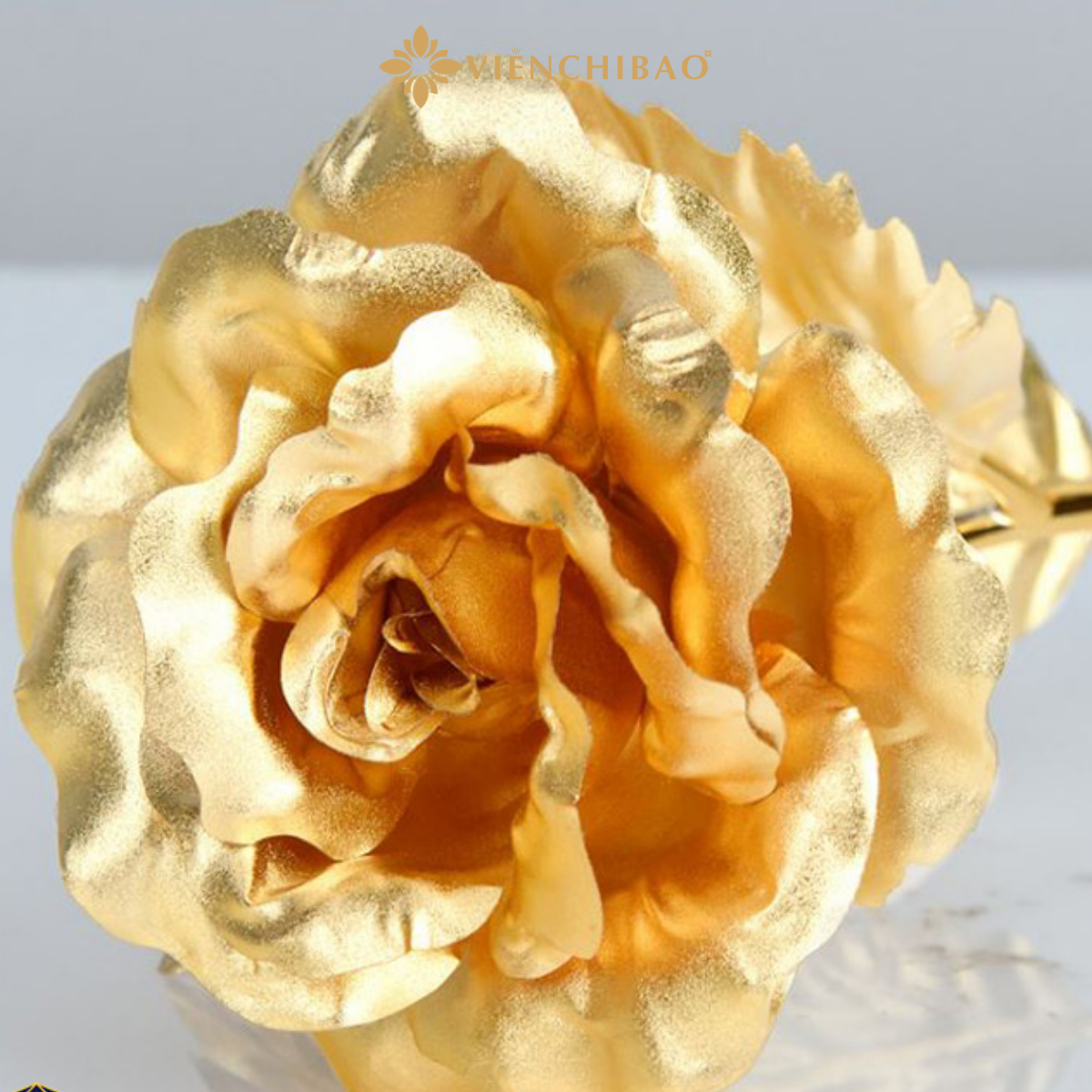 Bông hồng dát vàng