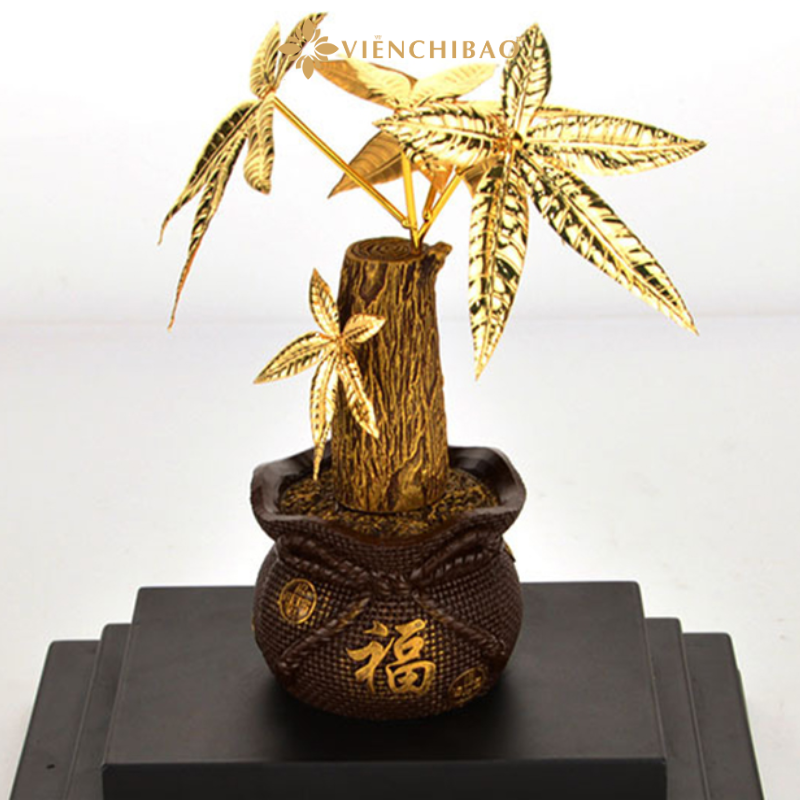 Chậu cây kim ngân